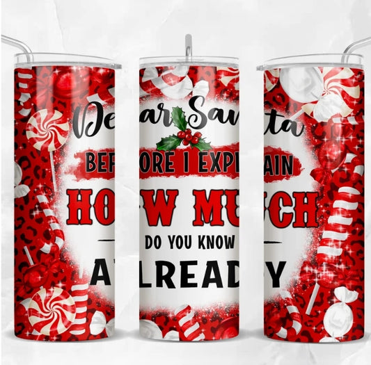 Dear santa before i explain -20oz Skinny Tumbler